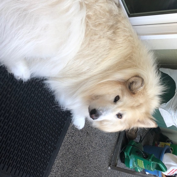 Meet your Posher, Joe - Picture 1 of 1